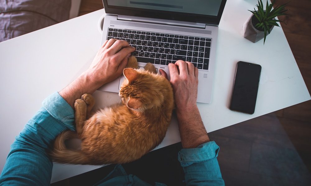 ZdjÄ™cia z pracy zdalnej mogÄ… zdradziÄ‡ hasÅ‚o do banku