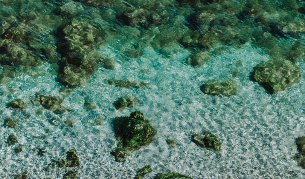 Czego Polacy oczekujÄ… od nowoczesnych pralek?